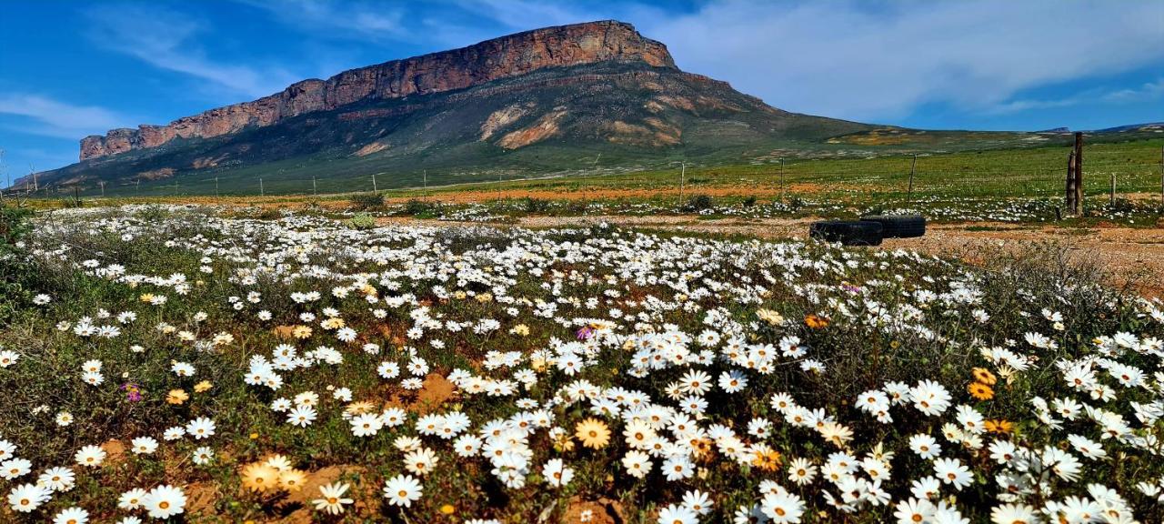 Mountain View Guesthouse Vanrhynsdorp Exteriér fotografie